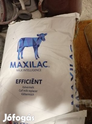 Maxilac Borjú tejpor eladó