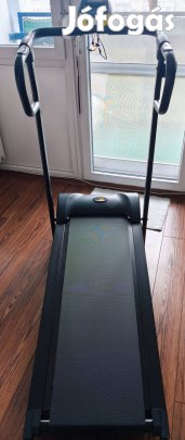 Mechanikus sétapad, gyaloglópad