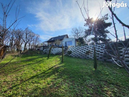 Mecsekoldali elegancia