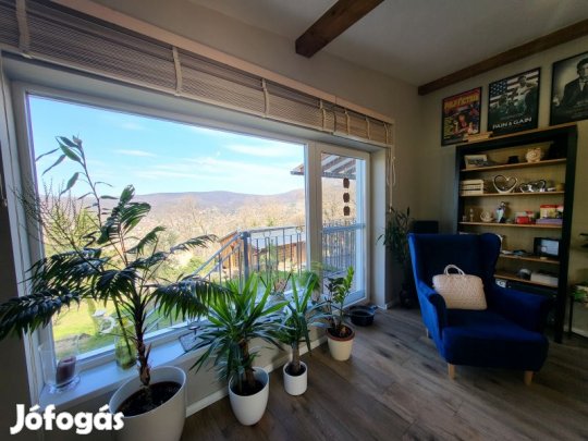 Mecsekoldali elegancia