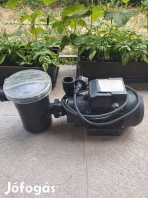 Medence, tószivattyú