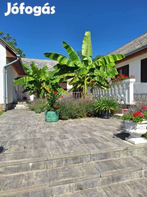 Medencés üdülőkomplexum és különálló családi ház Vonyarcon