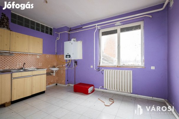 Medgyesbodzás fő utcáján ingatlan eladó