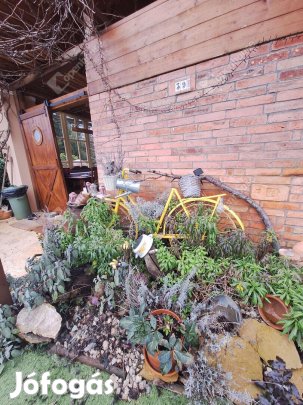 Mediterrán életérzés a Balatonnál