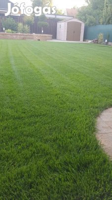 Mediterrán és Sport gyepszőnyeg prémium minőségben 