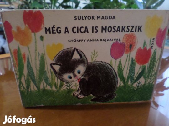 Még A CICA Is Mosakszik Győrffy Anna Rajz. Gyermekkönyv