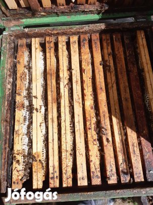 Méhcsalád , méhek eladók