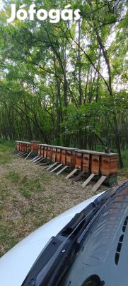 Méhcsaládok 1/2 NB kereten