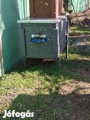 Méhcsaládok eladók