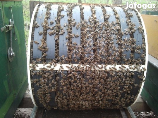 Méhész Forgófészkes Kaptárak. Műanyag Keretek