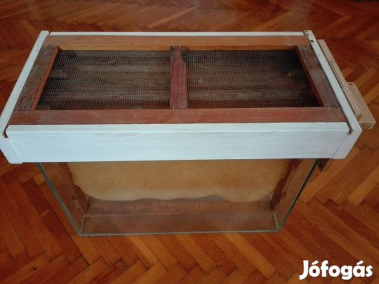 Méhész bemutató kaptár, megfigyelő kaptár