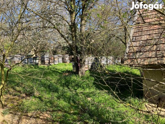 Méhészet másnál működne !