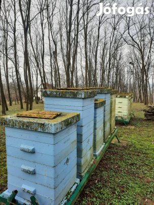 Méhészeti felszerlések