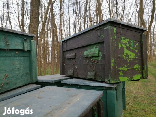 Méhkaptár eladó! 