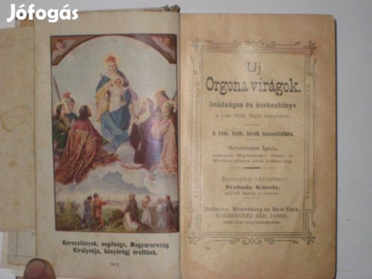 Meisermann Uj Orgona virágok