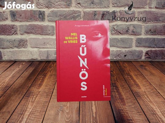 Mel Wallis De Vries - Bűnös