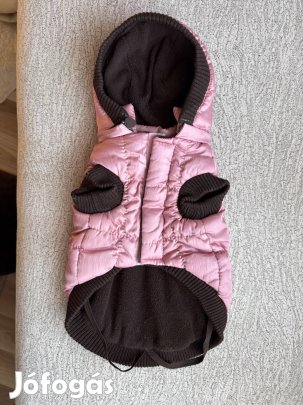 Meleg kutyaruha kistermetű kutyának