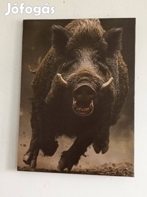 Menekülő Vaddisznó vászonnyomat 40 × 30 cm 12000ft óbuda