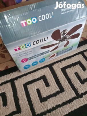 Menyezeti ventillator