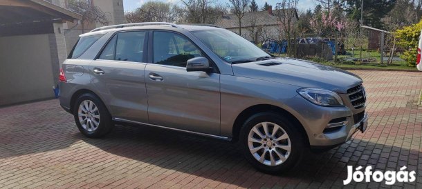 Mercedes-Benz ML 400 Blueefficiency (Automata)