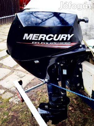 Mercury F 20 Eptl EFI