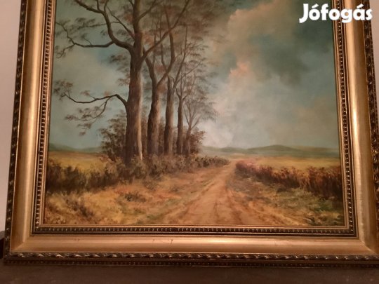 Mezei Zsuzsa olajfestménye 30 000 ft