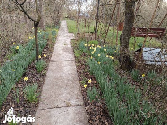 Mezőberény Laposi kertekben eladó tetőteres hétvégi ház (1267 m2)