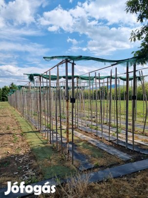 Mezőgazdasági állványzat