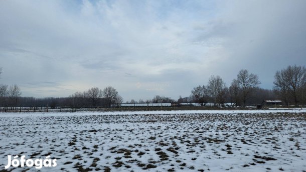 Mezőgazdasági földterület eladó Szank külterületén