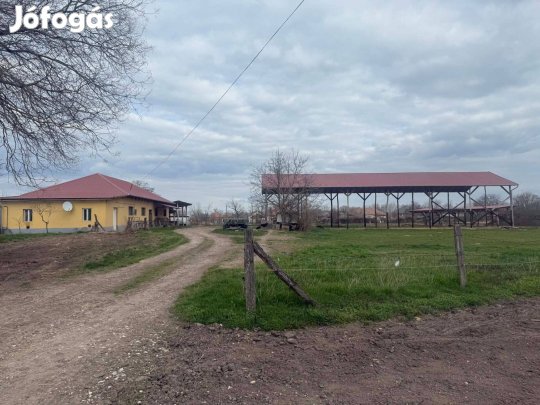 Mezőgazdasági telephely