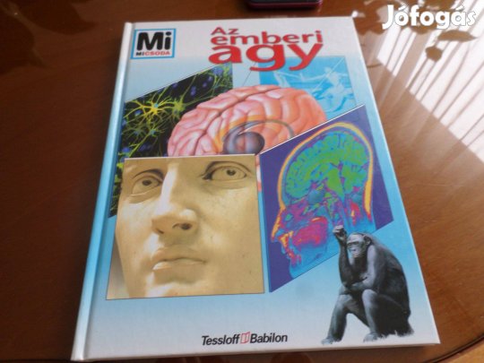Mi Micsoda Az emberi agy, 2001 Gyermekkönyv