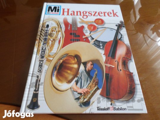 Mi Micsoda Hangszerek, 2004 Gyermekkönyv