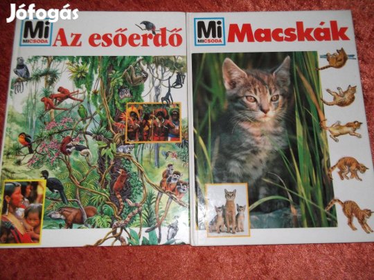 Mi Micsoda ismeretterjesztő könyvek