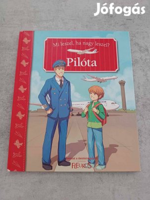 Mi leszel, ha nagy leszel? - Pilóta