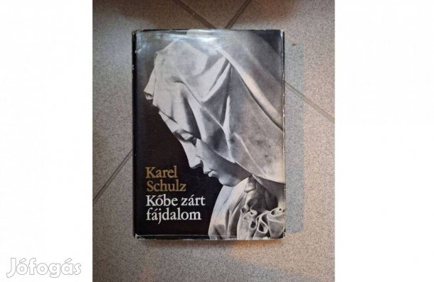 Michelangelo - ról: Kőbe zárt fájdalom - Karel Sculz könyve