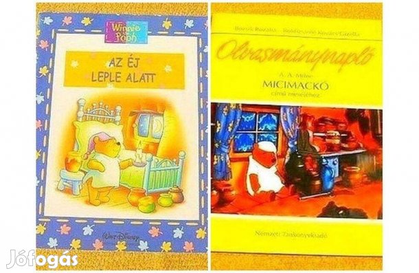 Micimackó: Az éj leple alatt. Micimackó olvasmánynapló