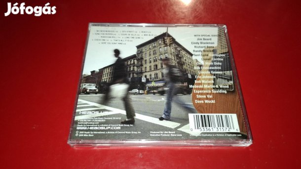 Mike Stern Big Neighborhood Cd 2009 -Jazz-