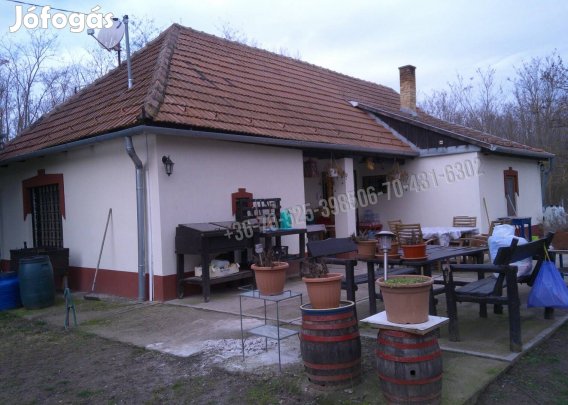 Mikebudán erdő ölelésében  tanya eladó