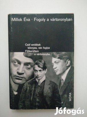 Millok Éva - Fogoly a vártoronyban - Ady Endre életregénye
