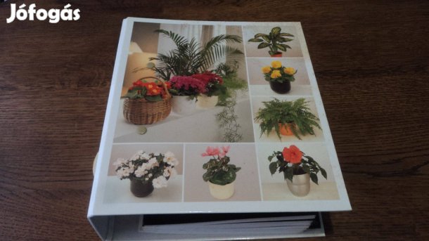 Minden a növényekről