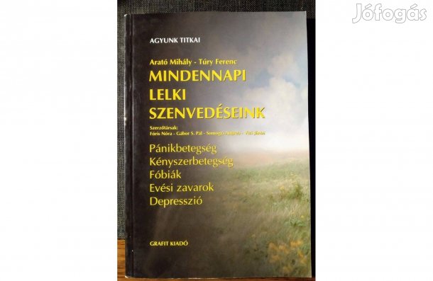 Mindennapi lelki szenvedéseink Pánikbetegség, Kényszerbetegség,Fóbiák