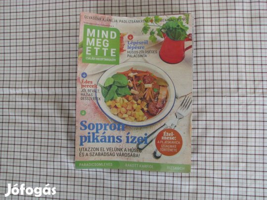 Mindmegette családi receptmagazin gyűjtőknek