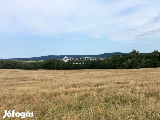 Mindszentkállai eladó 3997 nm-es telek