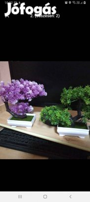 Mini bonsai ,kis tálkával, mű!!!