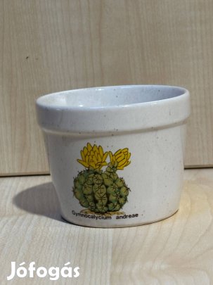 Mini porcelán virág kaspó