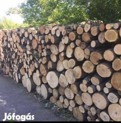 Minőségi Száraz vegyes és akác tűzifa