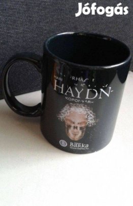 Mintás bögre, Haydn bögre pohár