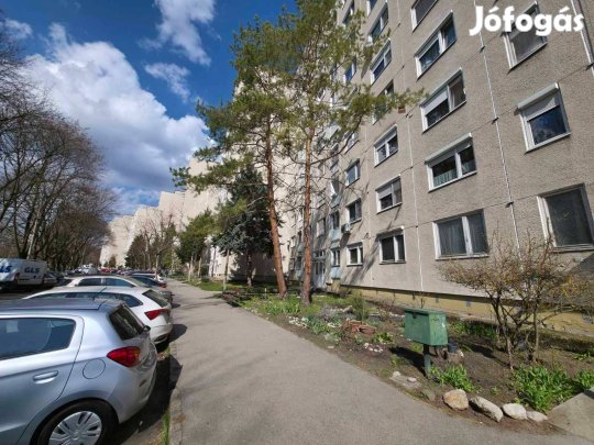 Miskolc Árpád úton Földszinti 51 m 2 szobás Lakás eladó