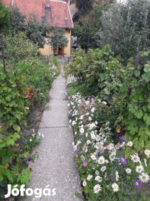 Miskolc Belvárosi ingatlan 