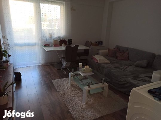 Miskolc Dóczy lakóparkban földszinti lakás kiadó